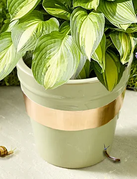 Pagen Kupferband gegen Schnecken - 3Pagen - FashionsVida