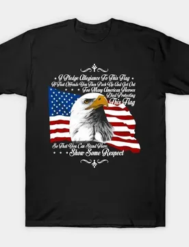 Patriotic America Flag Bald Eagle T-Shirt 100% Cotton O-Neck Summer Short Sleeve Casual Mens T-shirt Size S-3XL - Aliexpress - FashionsVida