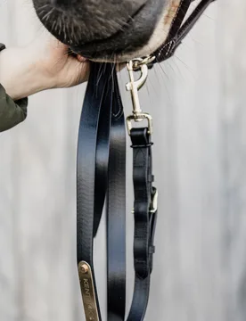 Vorführstrick schwarz - Kentucky Horsewear - FashionsVida
