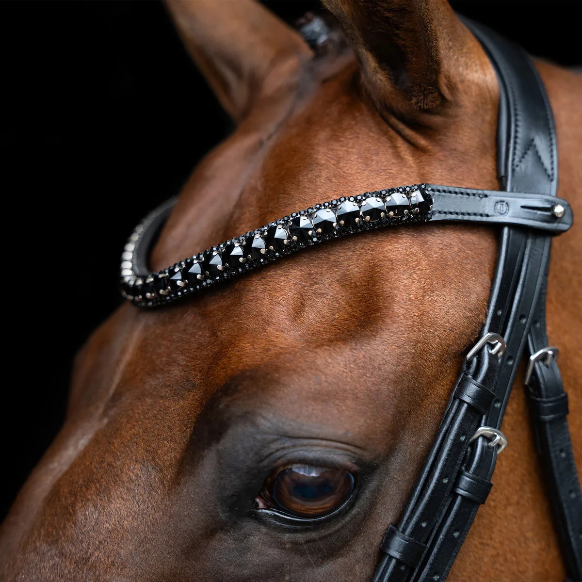 Stirnband IRH MAXIMA black Cob - Imperial Riding - FashionsVida