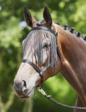 Halfter WEIDE-FRANSEN, schwarz SH - Busse - FashionsVida