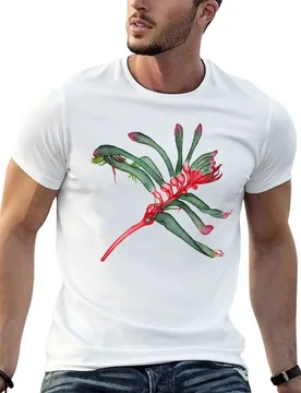 Kangaroo Paw Flower T-Shirt man t shirt luxury t shirt for man 100 percent cotton cotton t shirt pack T-shirt - Aliexpress - FashionsVida