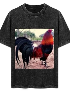 Rooster, red, fighting, fine T-Shirt Big Size Short Sleeve Casual Top - Aliexpress - FashionsVida