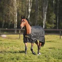 Weidedecke IRISH TURNOUT 0g, black-gold 120