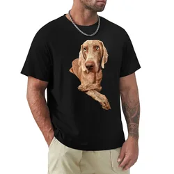 Weimaraner T-Shirt Dry Fit Athletic Short Sleeve Shirt