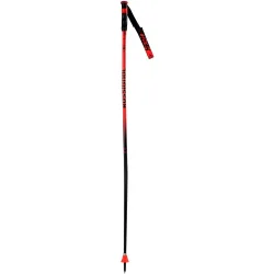 Bastones de esquí Hero Gs-Sg