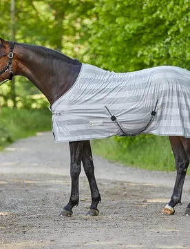 Fliegendecke ECONOMIC mit Kreuzgurten, silbergrau/grau 115 - Waldhausen - FashionsVida