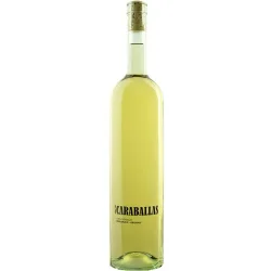 Vino blanco Verdejo ecológico 2023 Castilla y León Mágnum
