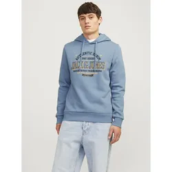 Felpa Con Cappuccio Logo 2 Col Mountain Spring L