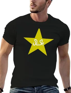 Pakistan national cricket team logo T-Shirt blue lock new gifts and t-shirts mens fashion - Aliexpress - FashionsVida