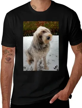 Who, Me? T-Shirt Plus Size Basic Short Sleeve Top T-Shirt - Aliexpress - FashionsVida