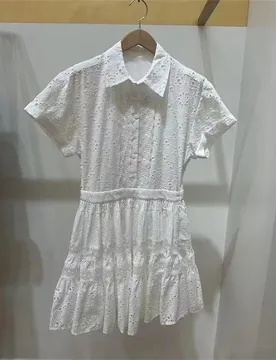 French Elegance 2025 Autumn New Sweet Lapel White Hollow-out Embroidery Waist-cinching A-line Short Dress - Aliexpress - FashionsVida