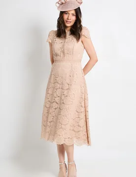 Womens Lace Fit And Flare Midi Dress - Mocha - Size 18 Uk - Wallis - FashionsVida