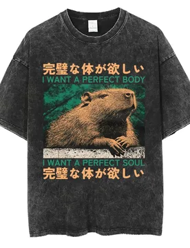 I Want A Perfect Body I Want A Perfect Soul T-shirt Funny Japanese Style Capybara Vintage Washed T Shirt Men Oversized Tees Tops - Aliexpress - FashionsVida