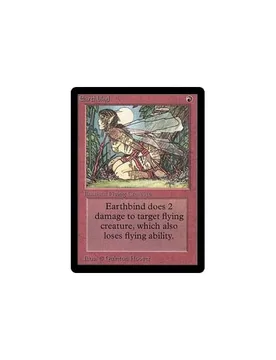 Earthbind Beta - Magic: The Gathering - FashionsVida