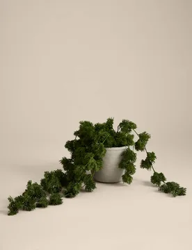 Artificial Trailing Moss in Concrete Pot Green - Moss & Sweetpea - FashionsVida