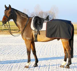 Nierendecke Softshell, schwarz XL