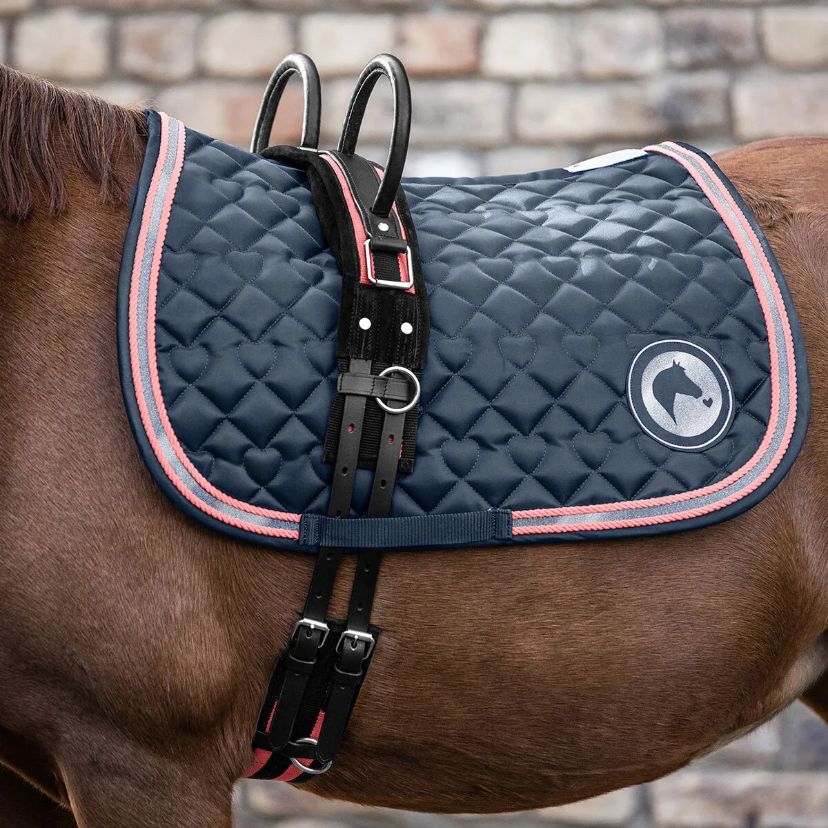 Longiergurt mit zwei Handgriffen, schwarz/rosarot Shetty - Waldhausen - FashionsVida