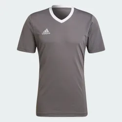 Maglia Entrada 22 S Team Grey Four