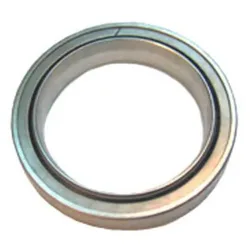Cuscinetti Del Mozzo Posteriore R5 Silver