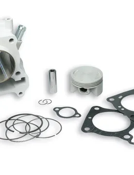 Cilindro Completo I-Tech 4-Stroke 61 In Alluminio Con Spinotto 14 H2o Honda Pantheon 150 Ie 4t Lc - Malossi - FashionsVida
