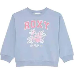Kapuzensweaters 077-51966365204819 Eu Xxl